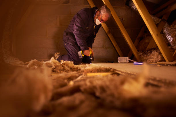 Best Insulation Installation Services in Bluewell, WV